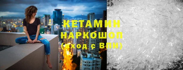 молекула духа Заполярный