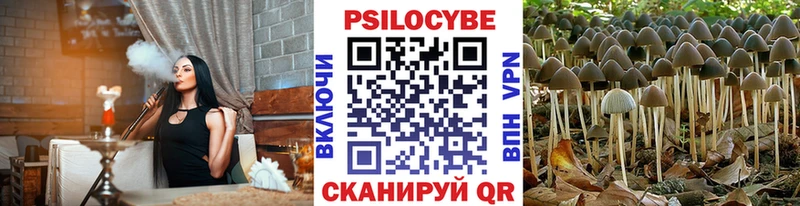 Псилоцибиновые грибы мухоморы  Купить  Зеленодольск 